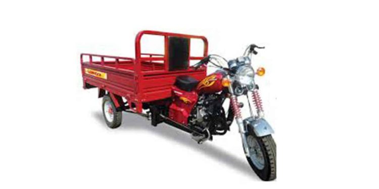 All You Need To Know About Qingqi MT 150