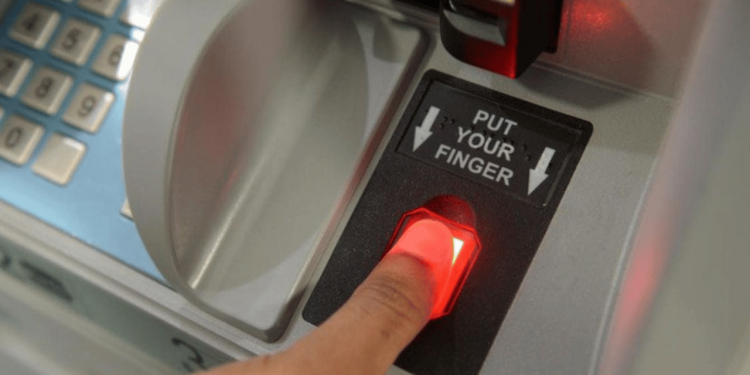 Punjab Excise Restart Biometric Vehicle Transfers and Registration