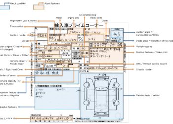 Reading Japanese Auction Sheets with Grades: A Step-by-Step Guide