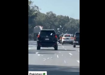 Toyota Prado TX Viral Video