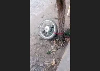 Viral Video | Thief Stole Bike and Left Tyre Locked With Tree