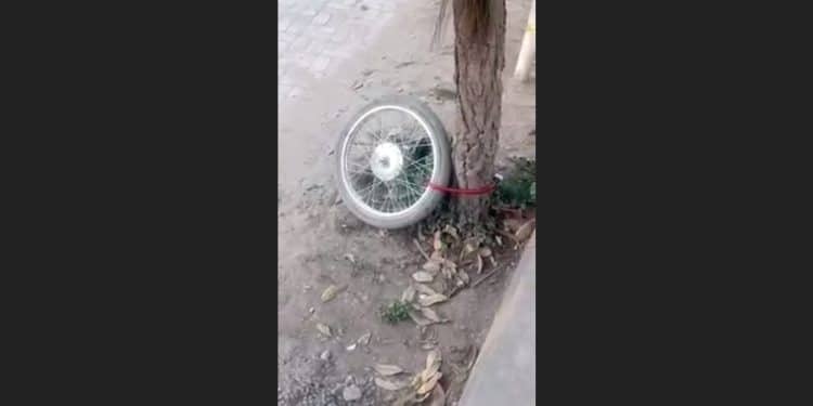 Viral Video | Thief Stole Bike and Left Tyre Locked With Tree
