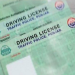 Apply Online Learner‘s Driving License